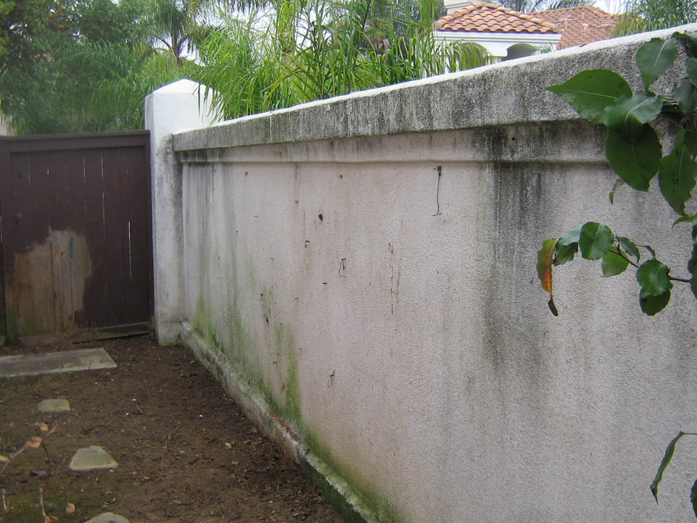 Pressure Washing Newport Coast Fence