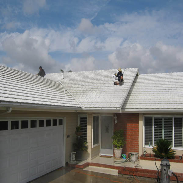 Roof Cleaning